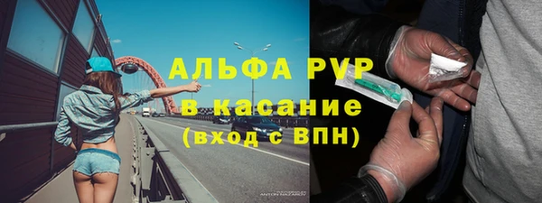 стаф Аркадак