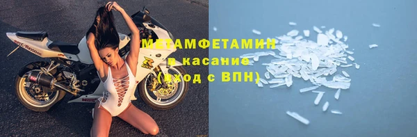 стаф Аркадак