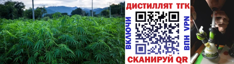 ТГК концентрат это клад Ужур