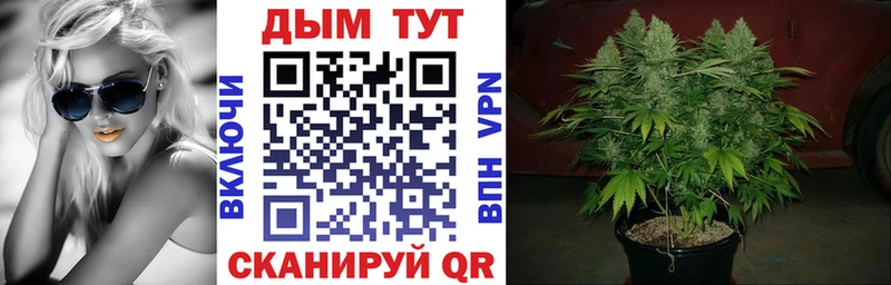 купить  цена  KRAKEN ссылки  Бошки марихуана сатива  Ужур 